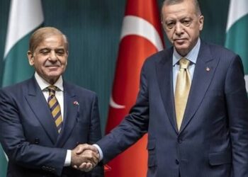 PM Shehbaz to Meet Erdoğan, Join Antalya Diplomacy Forum on Third Leg of Foreign Tour
