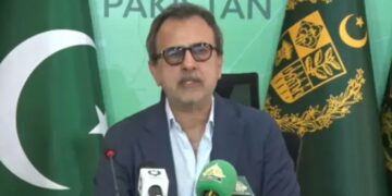 No Major Breakthrough Yet in Talks With Chinese Power Producers on Tariff Relief, Says Awais Leghari