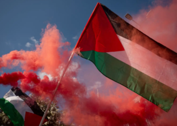 10 Nations, Including Pakistan, Denounce Israel’s Interception of Gaza Aid Flotilla