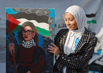 US Court Temporarily Suspends Sanctions on UN Palestine expert
