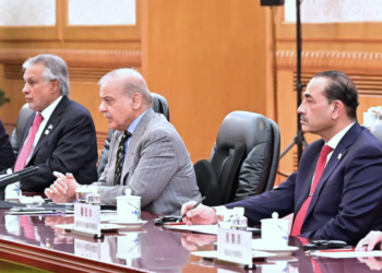 PM Shehbaz Urges Pakistan-China Unity to Help Restore Peace in Middle East