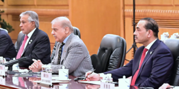 PM Shehbaz Urges Pakistan-China Unity to Help Restore Peace in Middle East