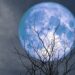 Rare Blue Moon and Micromoon Observed in the Sky