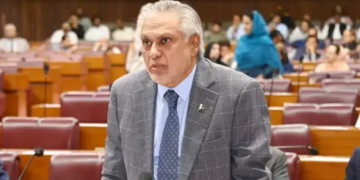 Pakistan Facilitating Repatriation of 30 Iranian Fishermen and Sailors, Says Dar