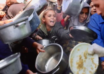Palestinian Factions Discuss Partial Gaza Disarmament in Cairo Talks
