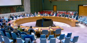 UN Security Council Adopts Pakistan-Backed Resolution to Protect Peacekeepers