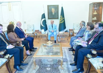 Pakistan, Croatia seek to boost trade and connectivity through strategic cooperation: Dar