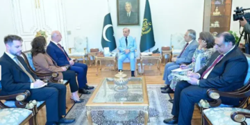 Pakistan, Croatia seek to boost trade and connectivity through strategic cooperation: Dar