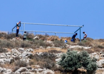 Former world leaders warn Palestinian territories risk ‘disappearing’ amid settlement expansion
