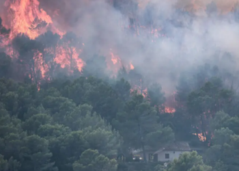 Wildfires across southern Europe kill firefighters, force thousands to evacuate