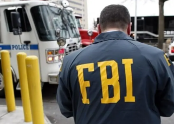 International operation leads to 24 arrests over India-linked organised crime networks