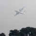 Wildfire rages near Paris as heatwave scorches Europe