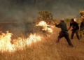Over 100,000 evacuated as wildfires sweep across France and Spain