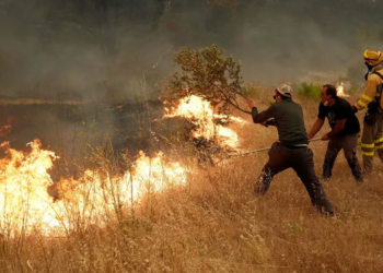 Over 100,000 evacuated as wildfires sweep across France and Spain