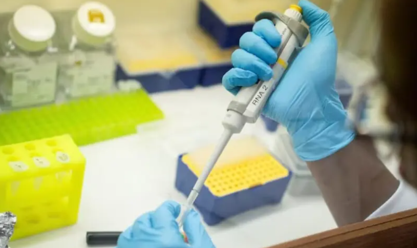 Chinese university probes undisclosed death in experimental gene-editing trial
