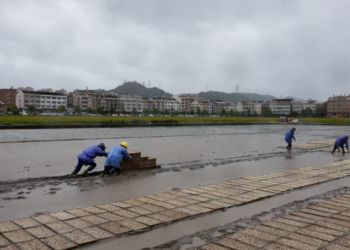Hundreds of thousands evacuated as Typhoon Bavi barrels towards China