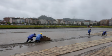 Hundreds of thousands evacuated as Typhoon Bavi barrels towards China