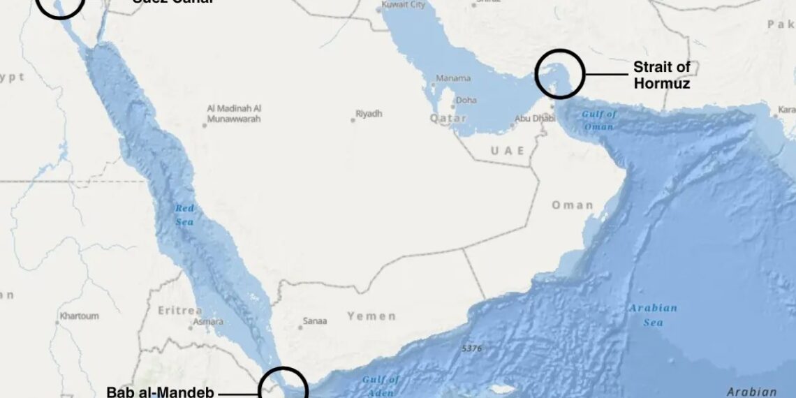 Islamabad Reaffirms Support for Saudi Arabia Amid Escalating Red Sea Tensions