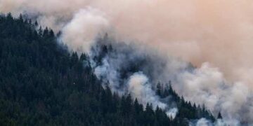 Wildfire Smoke Poses Growing Global Health Threat, Linked to Thousands of Deaths and Serious Diseases