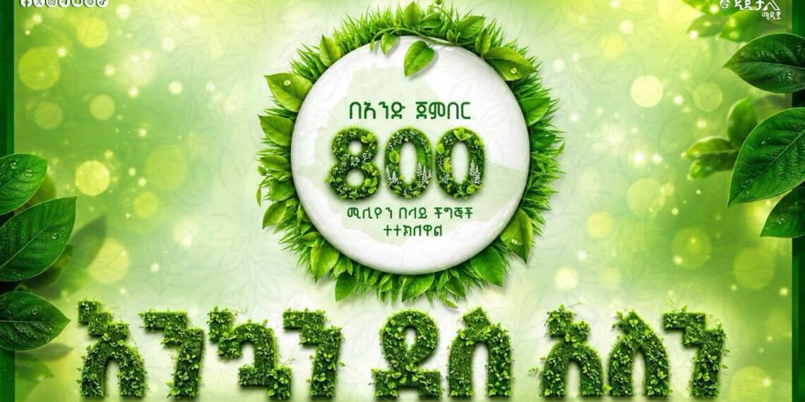 A Day to Remember: Ethiopia Plants 800 Million Trees in Single-Day
