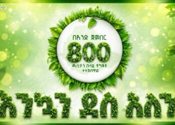A Day to Remember: Ethiopia Plants 800 Million Trees in Single-Day