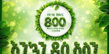 A Day to Remember: Ethiopia Plants 800 Million Trees in Single-Day