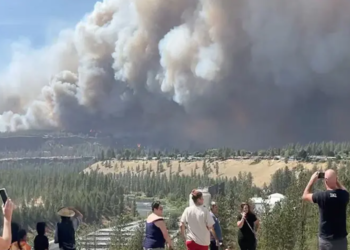 Wildfires intensify across Europe and North America as firefighters battle multiple blazes