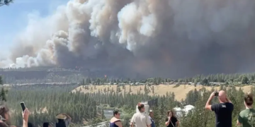 Wildfires intensify across Europe and North America as firefighters battle multiple blazes