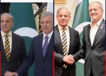 Shehbaz Meets Iranian, Uzbek Leaders at SCO Summit in Bishkek