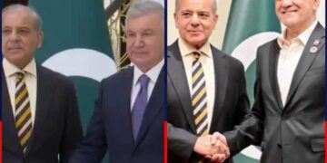 Shehbaz Meets Iranian, Uzbek Leaders at SCO Summit in Bishkek