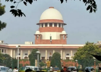 India’s top court orders stronger protection measures for threatened elephants